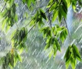 Как избавиться от сонливости, когда за окном дождь